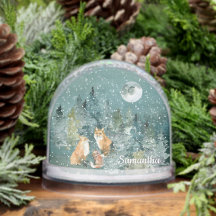 Fox Family in Forest Full Moon Snowfall Waterverf