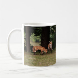 Fox Family Outing Koffiemok