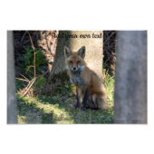 Fox Foto Afdruk (Voorkant)