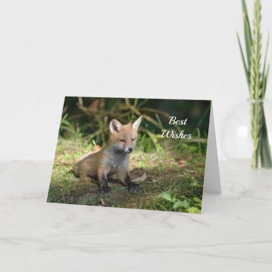 Fox Foto gefeliciteerd bruiloft Kaart (Voorkant)