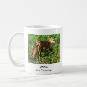 Fox Foto Mok