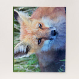 FOX-fotopuzzel Legpuzzel