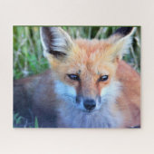 FOX-fotopuzzel Legpuzzel (Horizontaal)