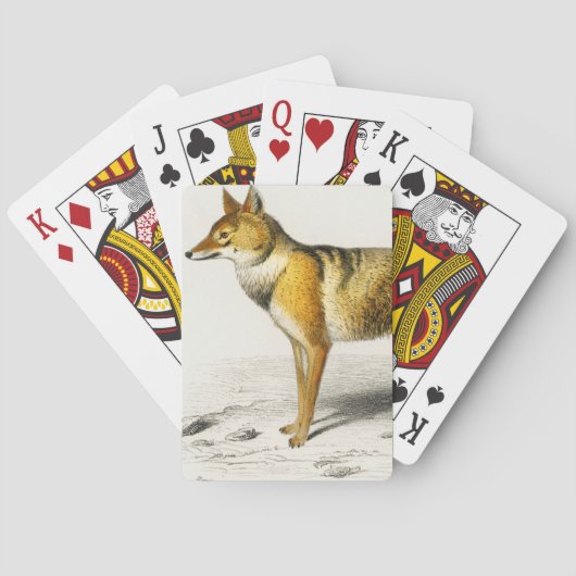 Fox  geïllustreerd pokerkaarten (Achterkant)