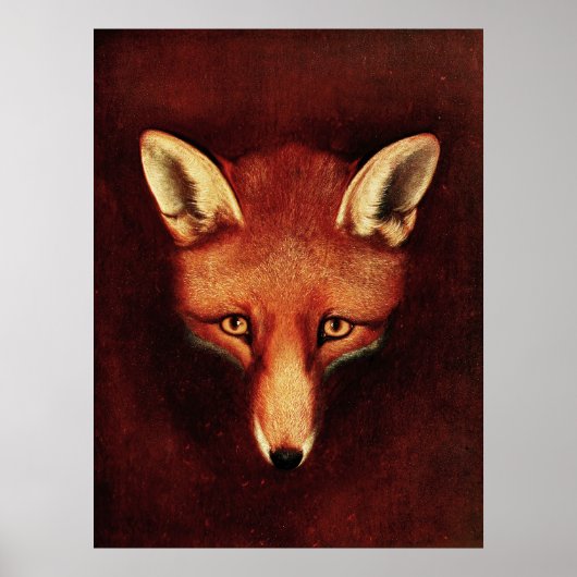 Fox Head  Print Antiek Dierenillustratie (Voorkant)