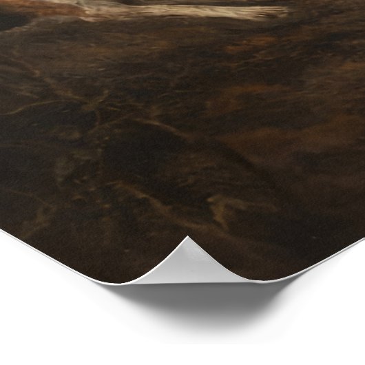 Fox Hunt Poster (Hoek)