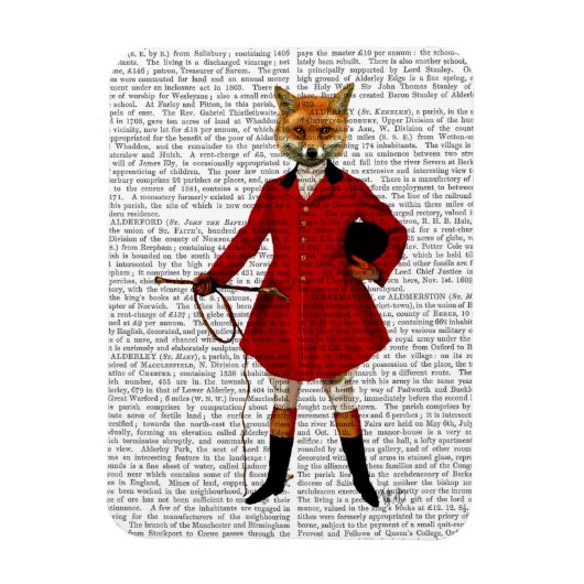 Fox Hunter 2 Volledig Magneet (Verticaal)
