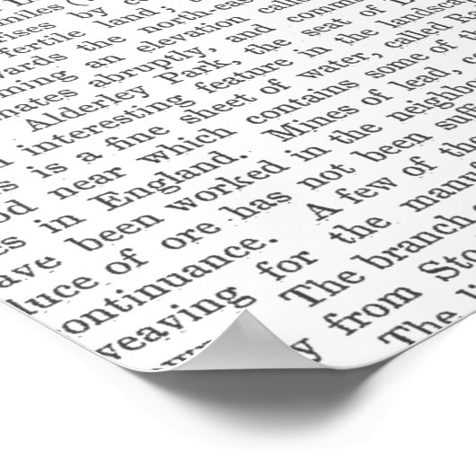 Fox Hunter Poster (Hoek)