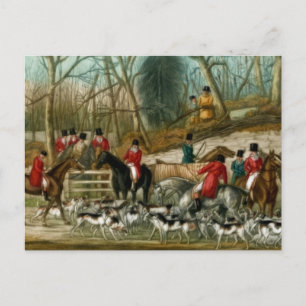 Fox Hunting 1 Briefkaart