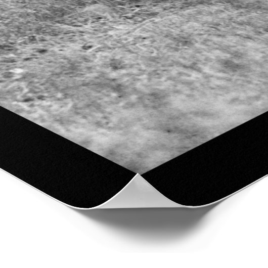 Fox Hunting in Virginia 1924 Poster (Hoek)