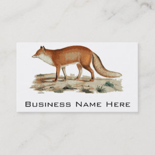 Fox-illustratie Visitekaartje