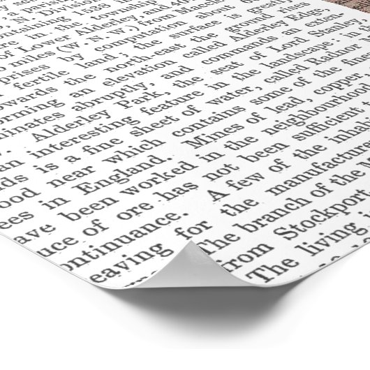 Fox in Boater Poster (Hoek)