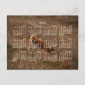 Fox in de gras; Agenda 2013 Briefkaart (Voorkant)