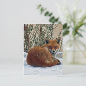 Fox in de sneeuw briefkaart (Staand voorkant)