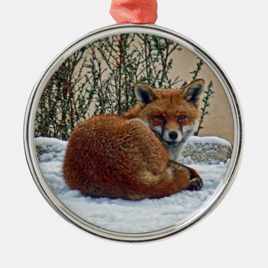 Fox in de sneeuwversiering metalen ornament (Voorkant)