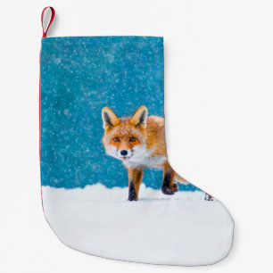 Fox in de winter. Rode vos, Vulpes vulpes, sluipsc Kleine Kerstsok