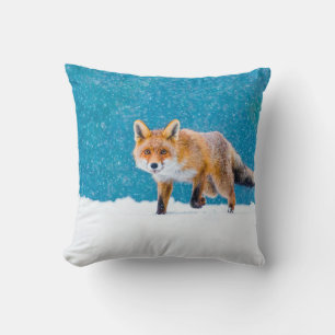 Fox in de winter. Rode vos, Vulpes vulpes, sluipsc Kussen