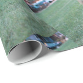 Fox in groen gras in het Thousand Oaks Park in San Cadeaupapier (Rol Hoek)