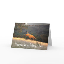 Fox in Moonlight, Happy Birthday Son, humor.