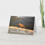 Fox in Moonlight, Happy Birthday Son, humor. Kaart<br><div class="desc">Een cartoon tekening van een gembervos in het maanlicht. Er is een maan in de nachtelijke hemel,  en "Happy Birthday Son" staat op de bodem van de kaart,  humor</div>