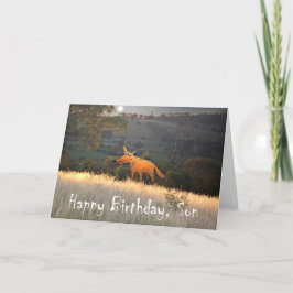 Fox in Moonlight, Happy Birthday Son, humor. Kaart