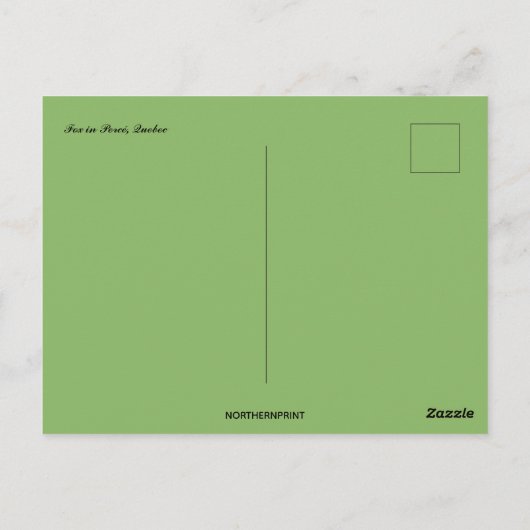 Fox in Percé Quebec Canada Briefkaart (Achterkant)