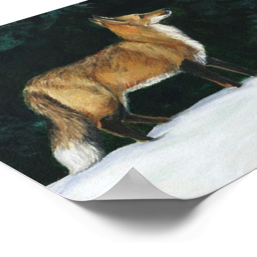 Fox in sneeuw Kunstreproductie Poster (Hoek)