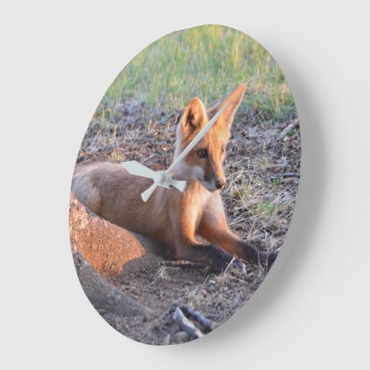 Fox in Sunlight Grote Klok (Hoek)