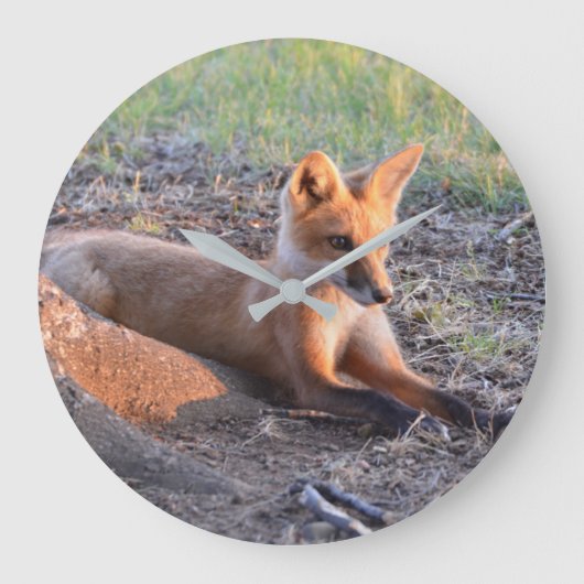 Fox in Sunlight Grote Klok (Voorkant)