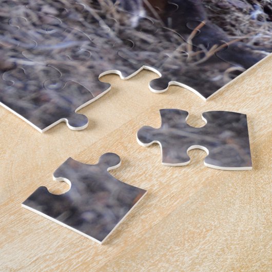 Fox in Sunlight Legpuzzel (Zijkant)