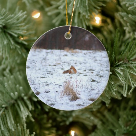 Fox in the Snow Keramisch Ornament (Boom)