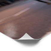 Fox in Times Square Perfect Poster (Hoek)