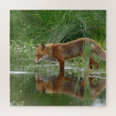 Fox in vijver legpuzzel (Horizontaal)