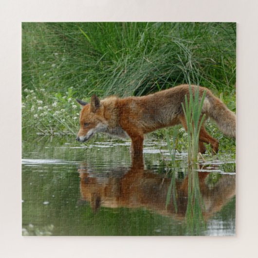 Fox in vijver legpuzzel (Horizontaal)