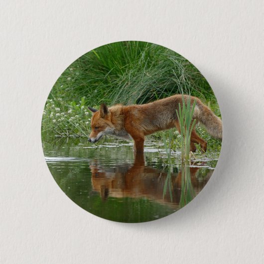 Fox in vijver ronde button 5,7 cm (Voorkant)