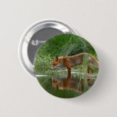 Fox in vijver ronde button 5,7 cm (Voorkant /achterkant)