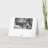 Fox in Winter (1904) van Bruno Liljefors Bedankkaart (Achterkant)