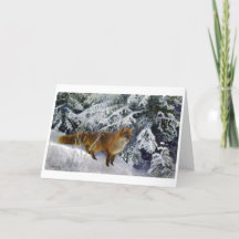 Fox in Winter (1904) van Bruno Liljefors