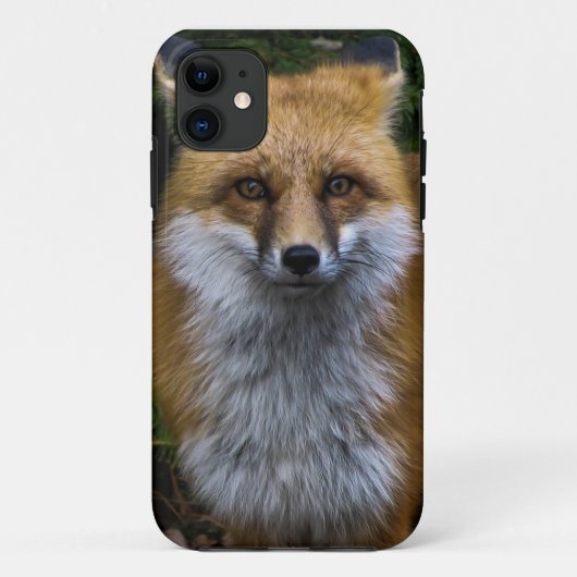 Fox iPhone Case (Achterkant)