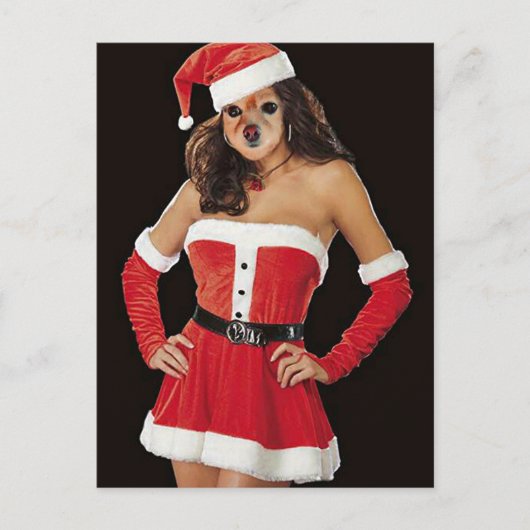 Fox is de helper van de Kerstman Feestdagenkaart (Voorkant)