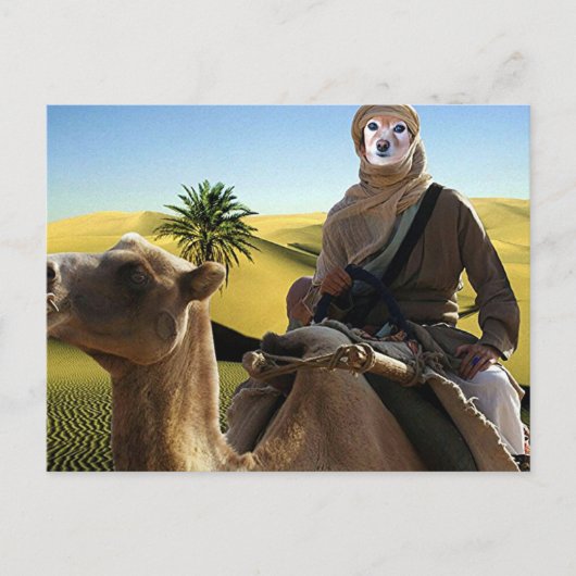 Fox is de wettigheid van Arabië Briefkaart (Voorkant)