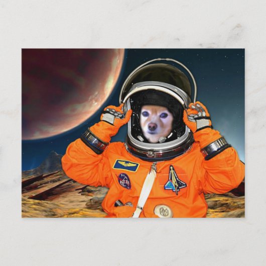 Fox is een astronaut #2 briefkaart (Voorkant)