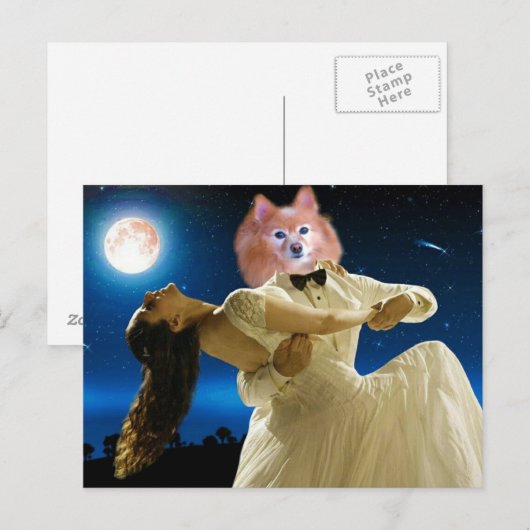 Fox is een dansende groep briefkaart (Voorkant / Achterkant)