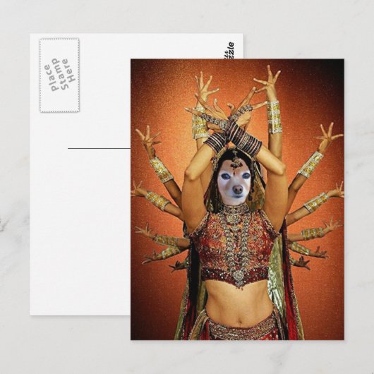 Fox is een hindi danser briefkaart (Voorkant / Achterkant)