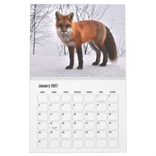 Fox Kalender (Jan 2027)