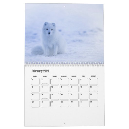 Fox Kalender (Feb 2026)
