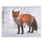Fox Kalender (Hoes)
