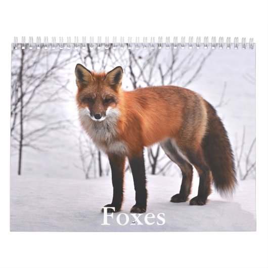 Fox Kalender (Hoes)