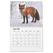 Fox Kalender (Jan 2026)