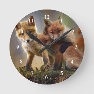 Fox kit foto ronde klok